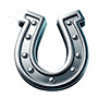 Horseshoe
