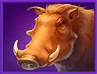 Wild Boar