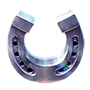 Silver horseshoe